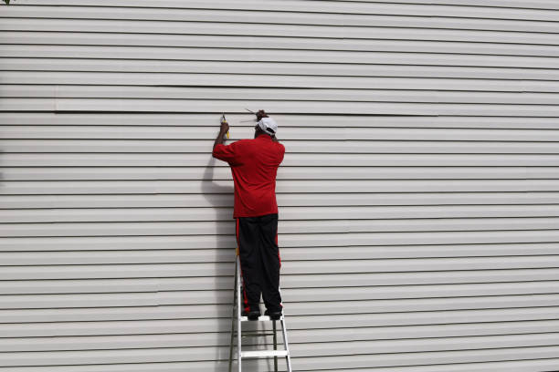 Best Siding Removal and Disposal  in Waldo, FL
